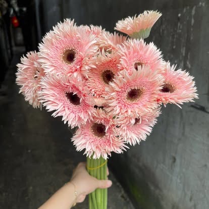 ピンクガーベラのポップブーケ